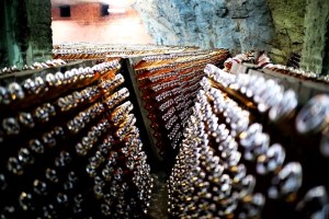 Тур Сіль і шампанське: Святогірськ, Слов'янськ, Бахмут - Артемівський завод шампанських вин (Artwinery)